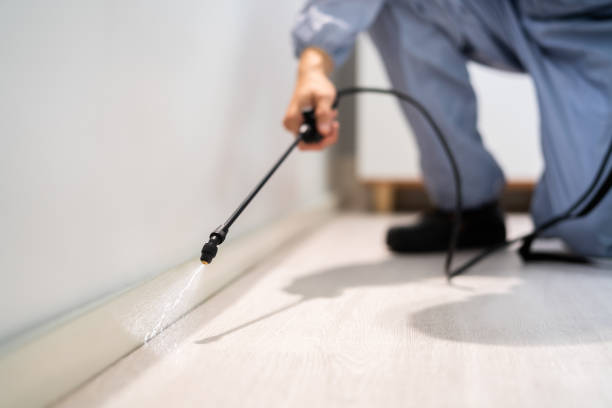 Licensed Pest Control service in Coral Hills, MD - Show Me Pest Control