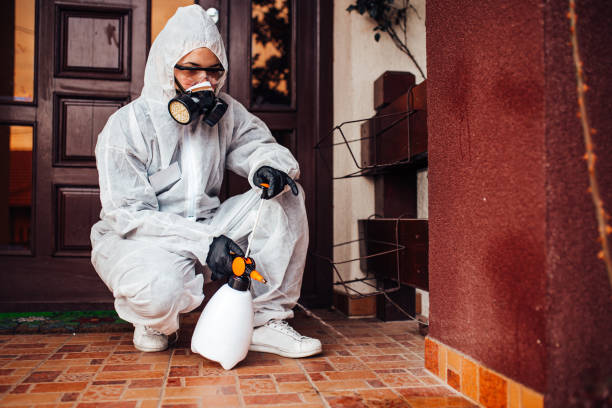 Reliable Wasp Removal contractor in Coral Hills, MD by Show Me Pest Control