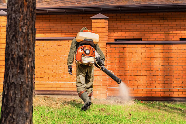 Top rated local Wasp Removal specialists in Coral Hills, MD